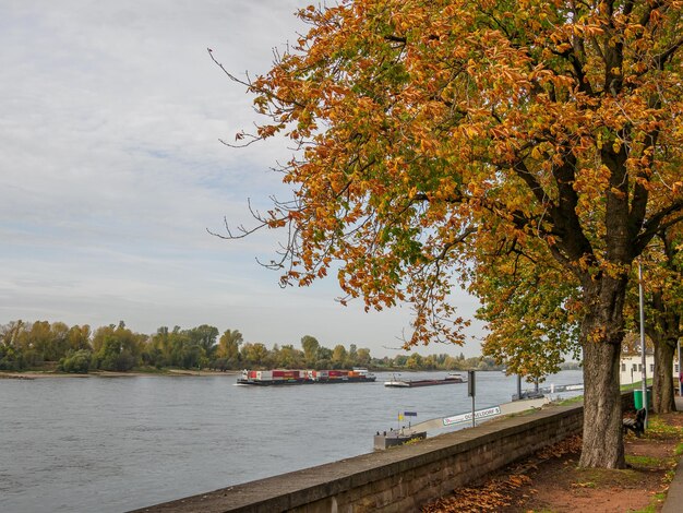 Düsseldorf an der Rheine