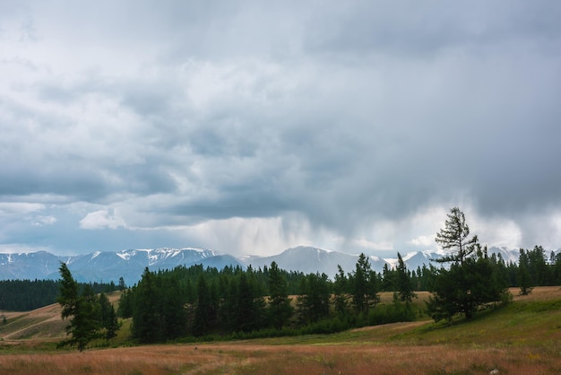 Düstere Alpenlandschaft mit dunkelgrünem Nadelwald und hoher schneebedeckter Bergkette bei Regen unter bewölktem Himmel Dunkle atmosphärische Landschaft mit Nadelwald und großen Schneebergen bei Bewölkung