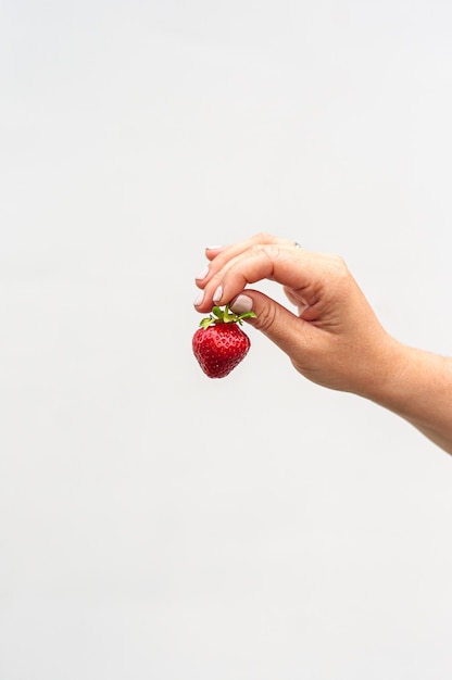 dulce fresa roja en la mano sobre un fondo blanco deliciosa baya vitaminas dieta fruta granja