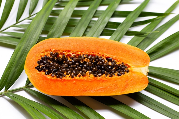 Dulce papaya madura en hojas de palmeras tropicales.