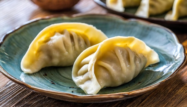 dumplings vegetarianos comida en un plato