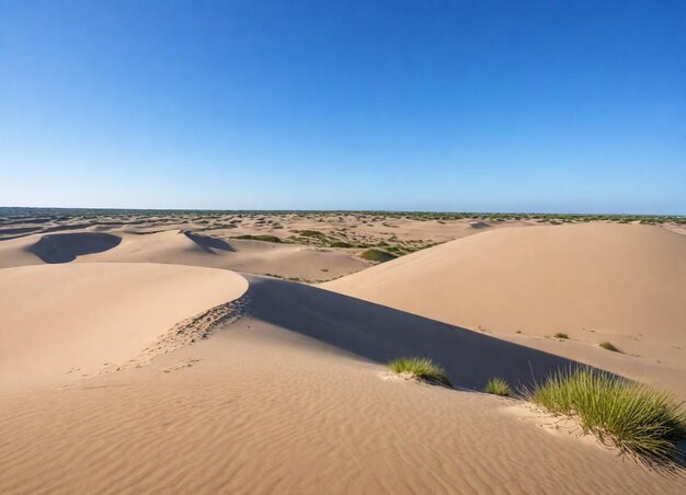 Foto una duna de arena con un camino que conduce al océano hd 8k papel tapiz imagen fotográfica de stock