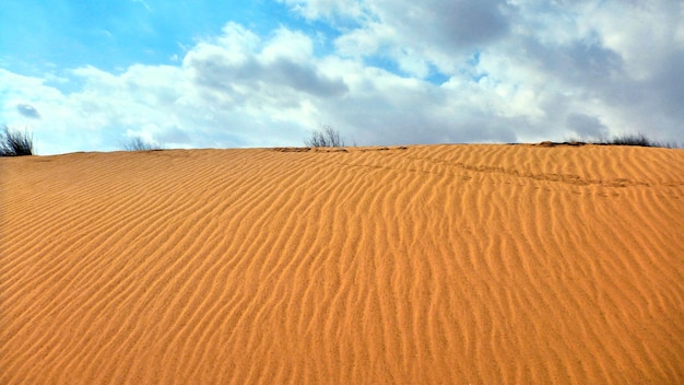 Duna de arena en el desierto de Negev en Israel.