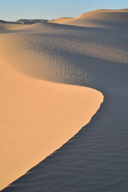 Foto una duna de arena en un desierto