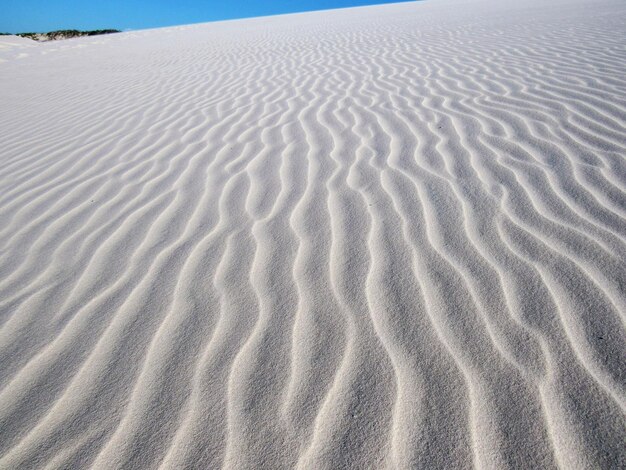 Foto una duna de arena en el desierto