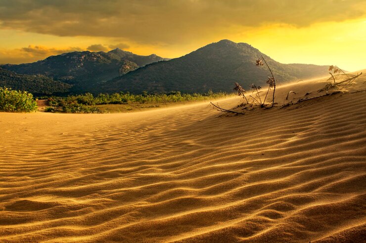 Una duna de arena con una montaña al fondo.