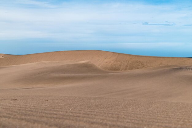 duna de arena superficie ondulada de duna de arena seca