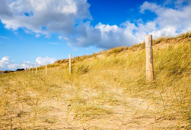 Duna de arena y valla en una playa Re Island Francia Fondo de cielo azul