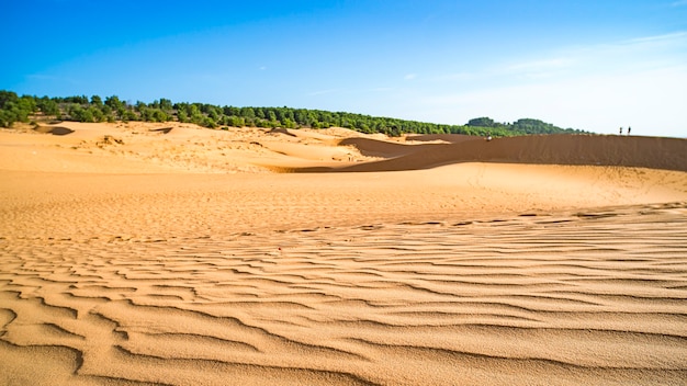 Duna de areia branca, Mui Ne, Vietnã. Belas paisagens da área desértica com céu azul.