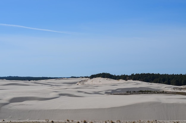 Duna de areia Leba do parque nacional de Slovinski na costa báltica Polônia Europa