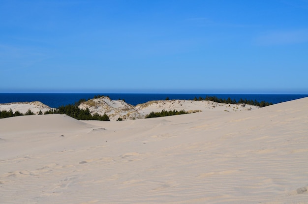 Duna de areia Leba do parque nacional de Slovinski na costa báltica Polônia Europa