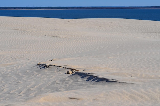 Duna de areia Leba do parque nacional de Slovinski na costa báltica Polônia Europa