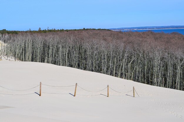 Duna de areia Leba do parque nacional de Slovinski na costa báltica Polônia Europa