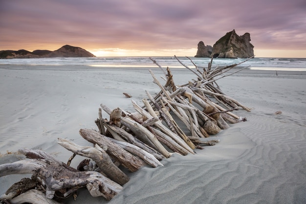 Duna de areia na praia do Oceano Pacífico, Nova Zelândia