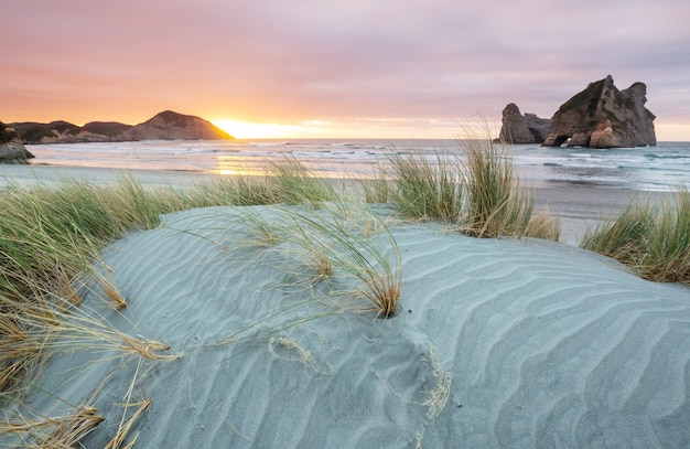 Duna de areia na praia do oceano pacífico, nova zelândia