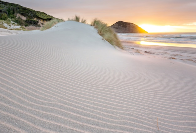 Duna de areia na praia do oceano pacífico, nova zelândia