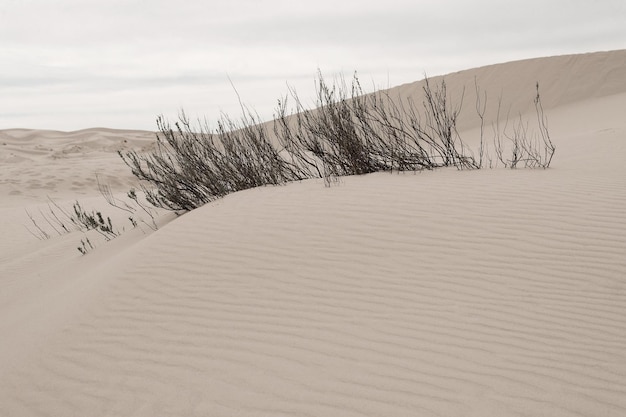 Foto duna de areia no deserto contra o céu