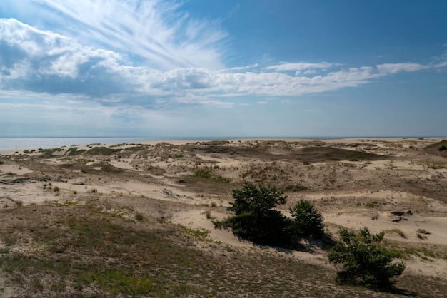 Duna de Staroderevenskaya e Mar Báltico em um dia ensolarado de verão Curonian Spit Kaliningrad region Rússia