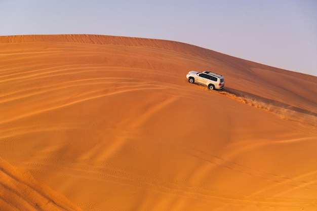 Duna do deserto