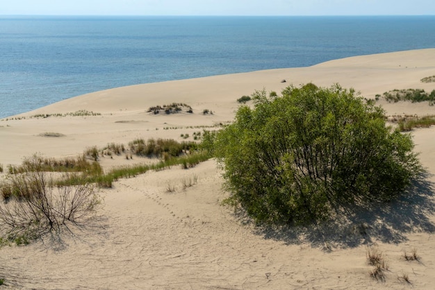 Duna Staroderevenskaya desde la altura de Efa y Mar Báltico Curonian Spit región de Kaliningrado Rusia