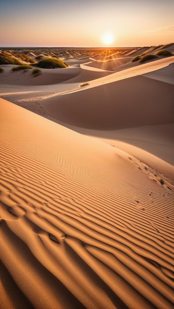 Las dunas al anochecer