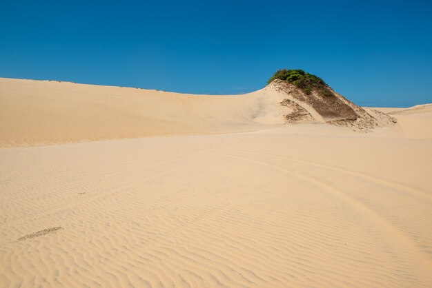 Foto dunas en aquiraz cerca de fortaleza ceara brasil