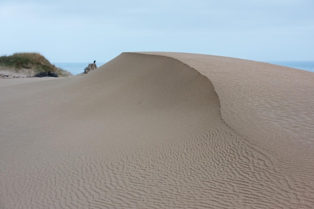 Dunas de arena cerca de la playa del mar