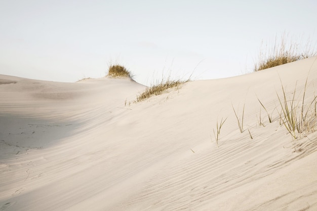 Las dunas de arena contra el cielo despejado