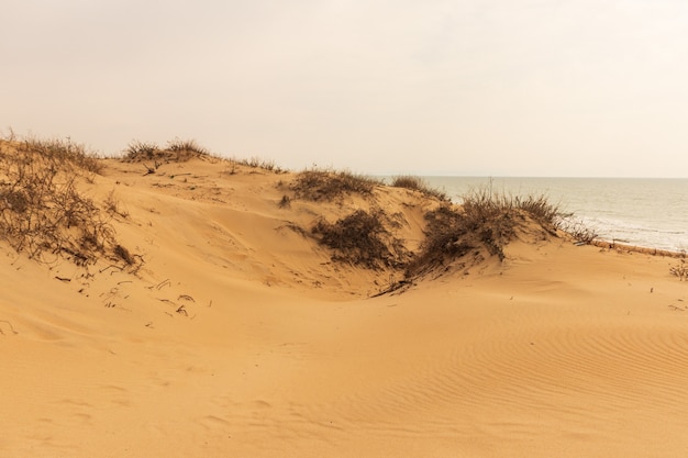 Dunas de arena contra la luz del atardecer en la playa