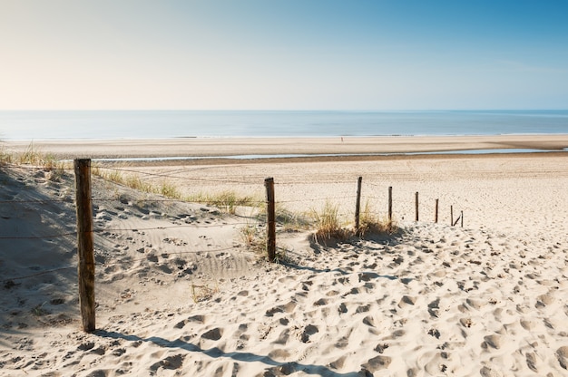 Dunas de arena en la costa del mar en Noordwijk, Países Bajos, Europa.