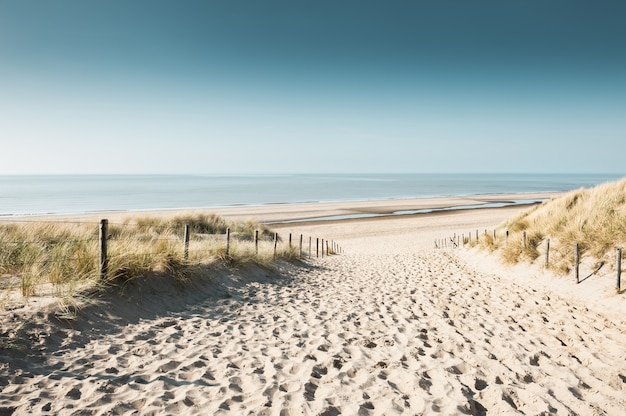 Dunas de arena en la costa del mar del Norte en Noordwijk, Países Bajos, Europa.