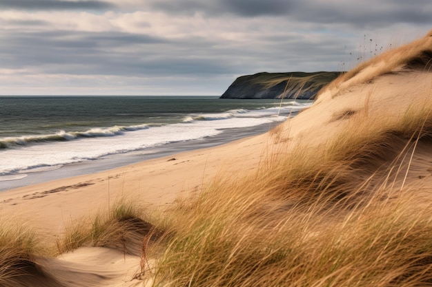Dunas de arena en la costa del mar del norte