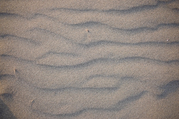 Dunas de arena creadas por el viento Acostado plano