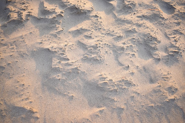 Dunas de arena creadas por el viento Acostado plano