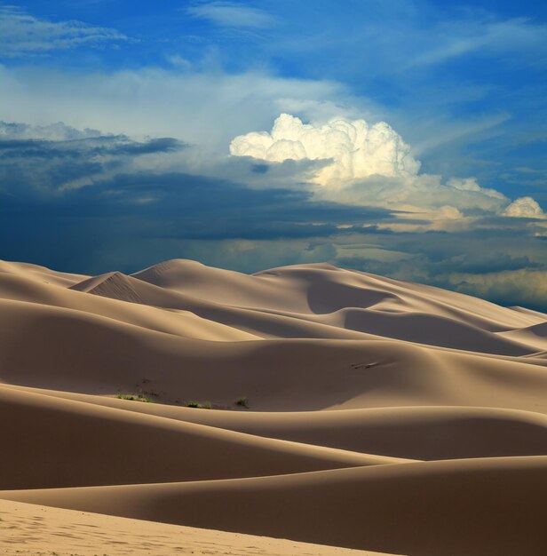 Dunas de arena en el desierto al atardecer