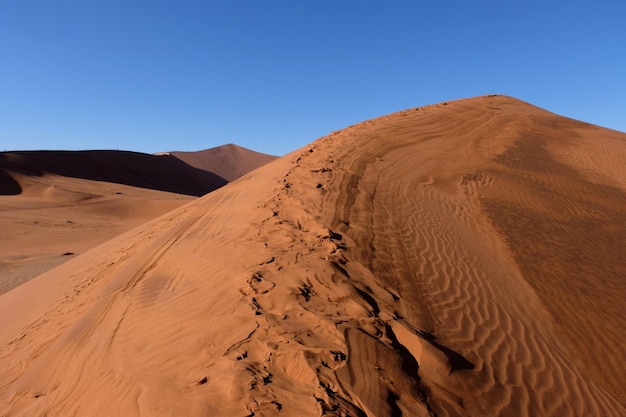 Foto dunas de arena en el desierto contra un cielo despejado