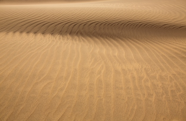 Dunas de arena del desierto en maspalomas gran canaria