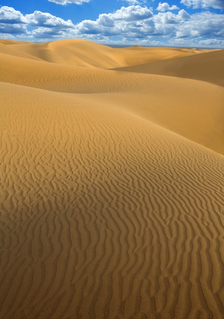 Dunas de arena del desierto en maspalomas gran canaria