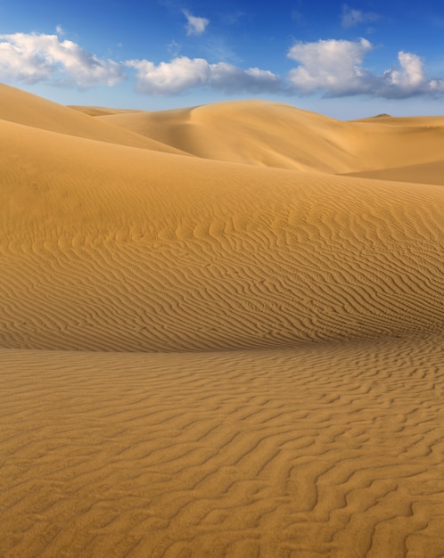 Dunas de arena del desierto en maspalomas gran canaria