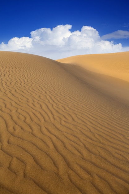 Dunas de arena del desierto en maspalomas gran canaria