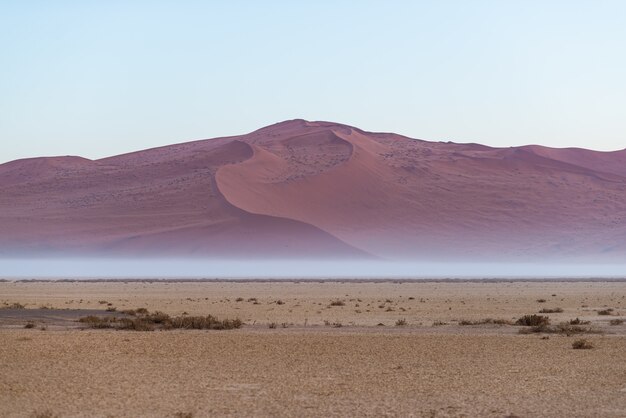 Dunas de arena en el desierto de Namib al amanecer, viaje en el maravilloso Parque Nacional Namib Naukluft, destino de viaje en Namibia, África.