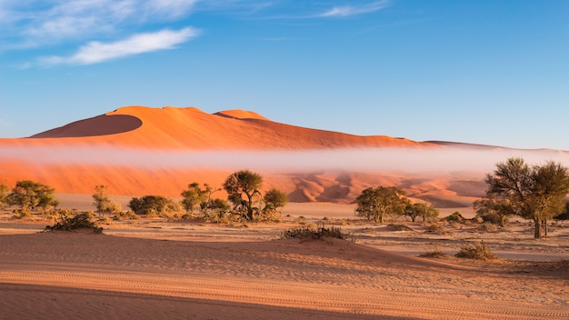 Dunas de arena en el desierto de Namib al amanecer, viaje en el maravilloso Parque Nacional Namib Naukluft.