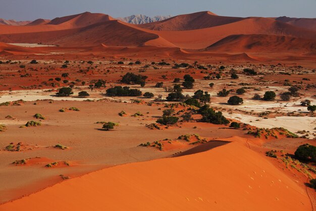 Dunas de arena en el desierto de Namib