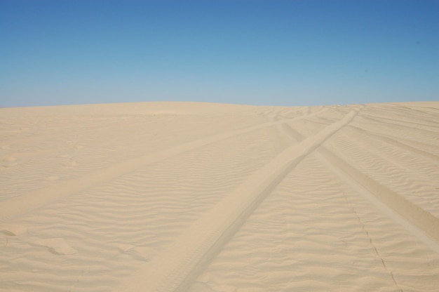 Dunas de arena en el desierto del sahara en áfrica