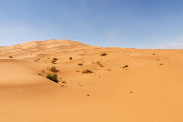 Dunas de arena en el desierto del sahara erg chebbi marruecos africa