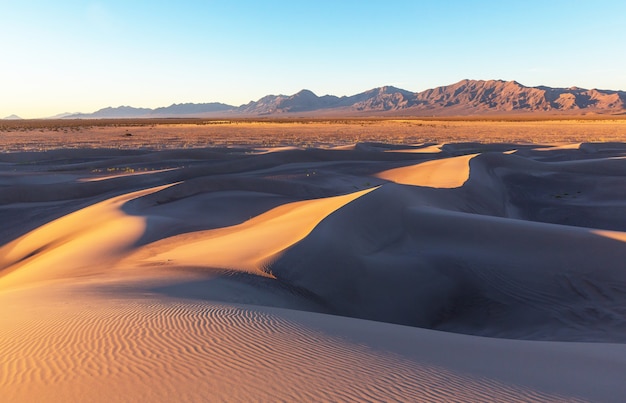 Dunas de arena en el desierto del Sahara