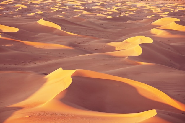 Dunas de arena en el desierto del Sahara