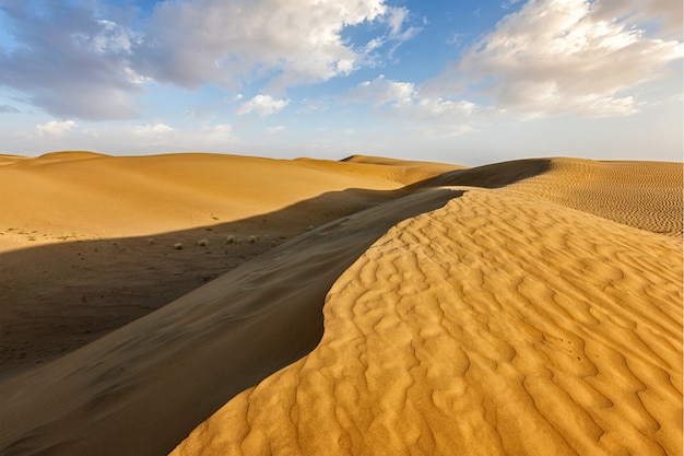 Dunas de arena en el desierto