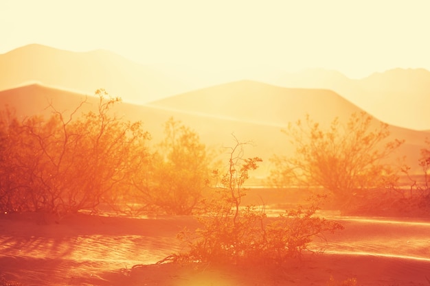 Foto dunas de arena en el desierto