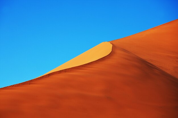 Dunas de arena en el desierto